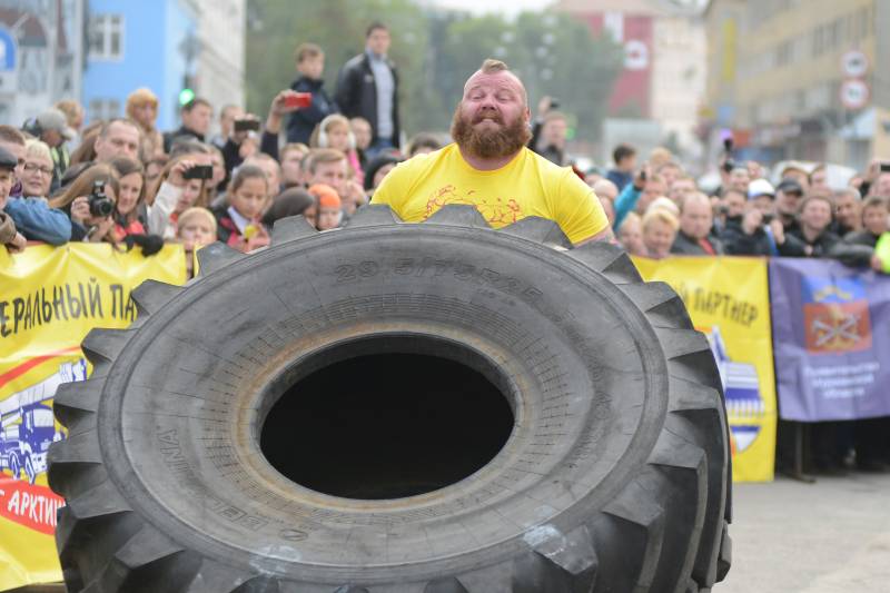Железный север