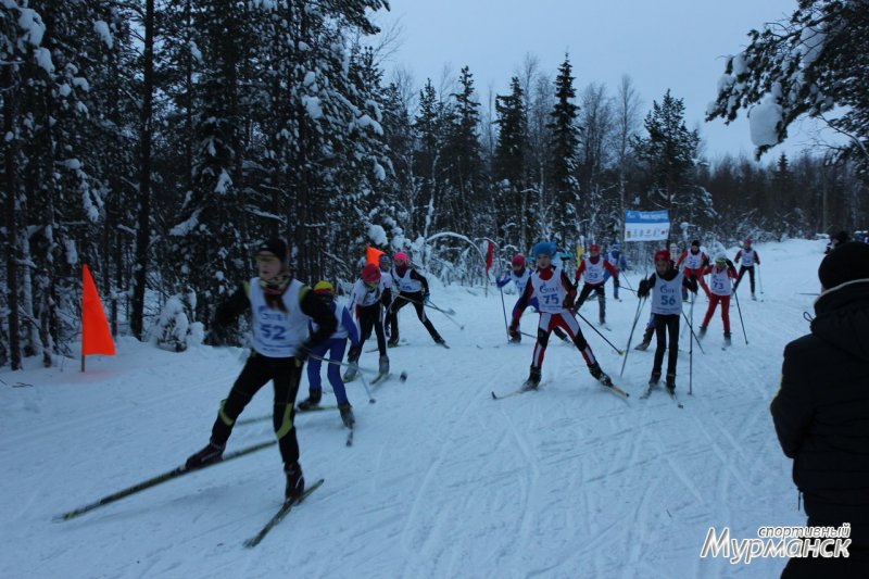 В Мурмашах прошел турнир по детским лыжным гонкам на Кубок «ТГК-1»