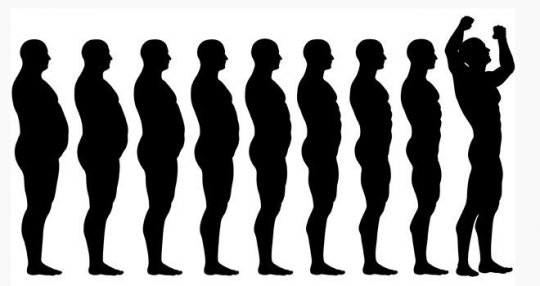 Метаболическая адаптация при похудении