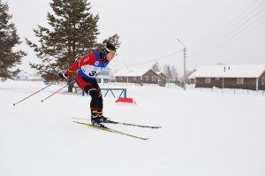Гонка свободным стилем Чемпионата СЗФО по лыжным гонкам