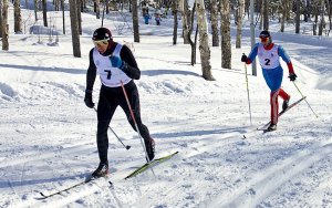 Региональные соревнования по лыжным гонкам среди ветеранов, стиль классический
