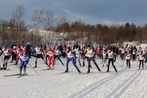Кубок по лыжным гонкам памяти тренера-преподавателя Ю.Ф.Шапиро