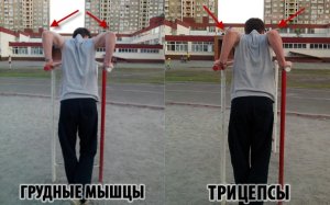 Как правильно заниматься на брусьях