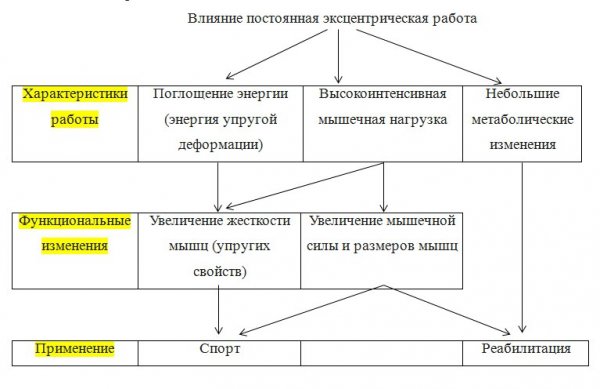 Эксцентрика это в спорте