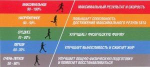 Какой должен быть пульс во время тренировок?