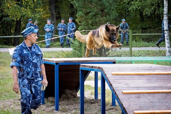Чемпионат ФСИН России среди кинологов