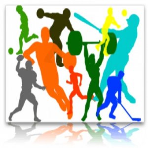 В Мурманской области определены лучшие в организации физкультурно-спортивной работы среди студентов