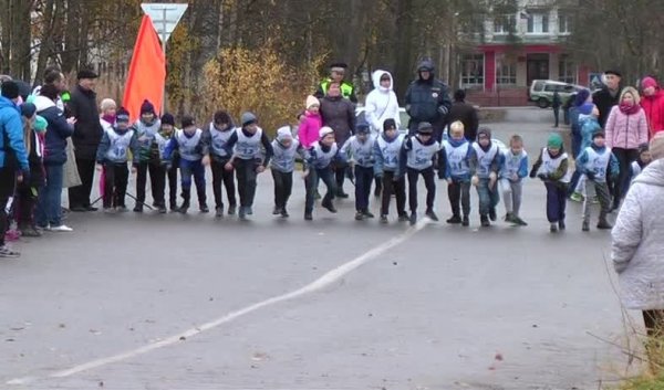 Княжегубская миля