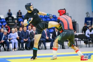 Первенство России по ММА