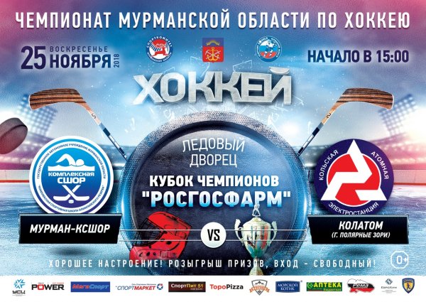 Хоккей в Ледовом Дворце спорта