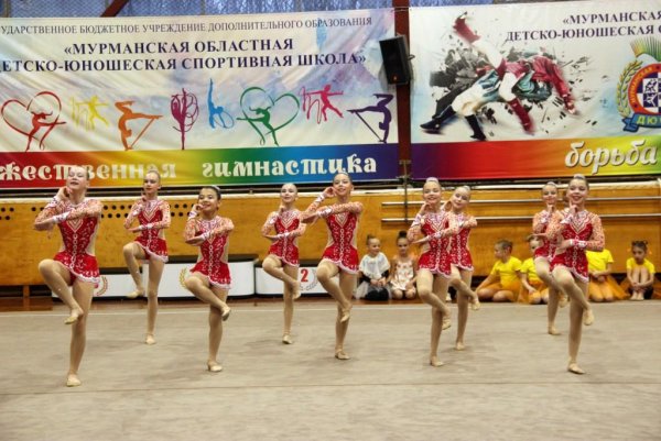 Конкурс показательных номеров по художественной гимнастике