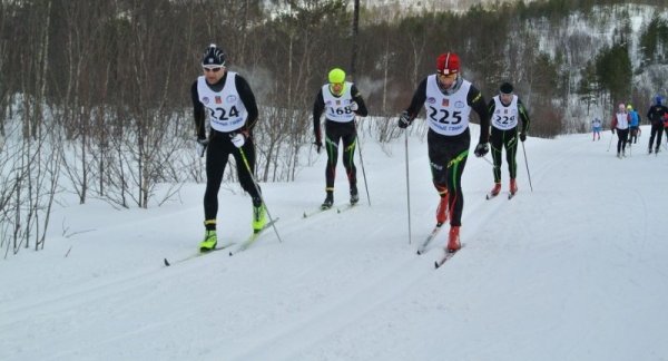 Чемпионат Мурманской области по лыжным гонкам