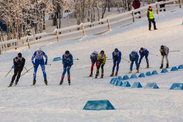 Новогодняя гонка