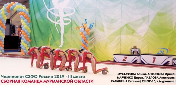 Чемпионат СЗФО по художественной гимнастике