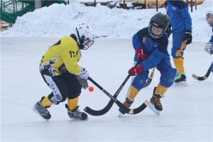Детский турнир по хоккею с мячом