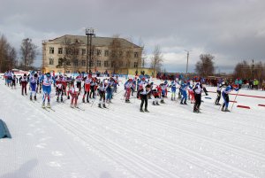 Чемпионат и Первенство области по лыжным гонкам