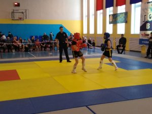 Чемпионат Мурманской области по ушу-саньда