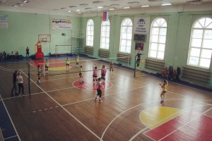 Чемпионат Мурманска по волейболу