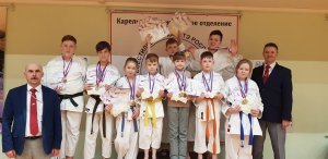 Чемпионат Республики Карелии по всестилевому каратэ