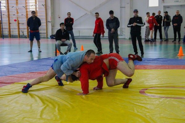 В Североморске завершился чемпионат Северного флота по самбо и дзюдо