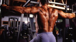 Методика тренировки дельтовидных мышц