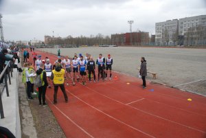 Кросс в Апатитах