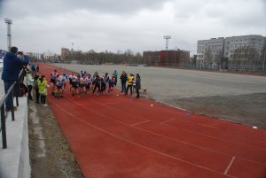 Кросс в Апатитах