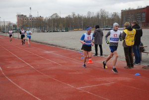 Кросс в Апатитах