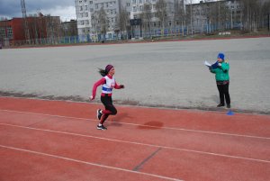 Кросс в Апатитах