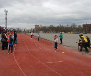 Кросс в Апатитах