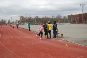 Кросс в Апатитах