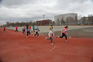 Кросс в Апатитах