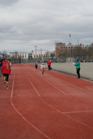 Кросс в Апатитах