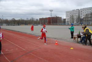 Кросс в Апатитах
