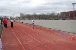 Кросс в Апатитах