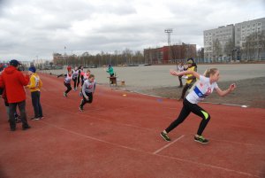 Кросс в Апатитах