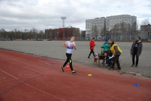 Кросс в Апатитах