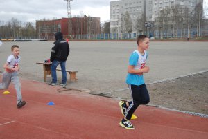 Кросс в Апатитах