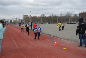 Кросс в Апатитах