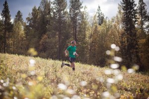 Lahti-Trail 2019