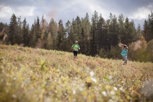 Lahti-Trail 2019