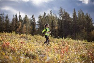 Lahti-Trail 2019