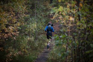 Lahti-Trail 2019