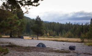 Lahti-Trail 2019