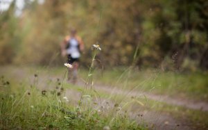 Lahti-Trail 2019