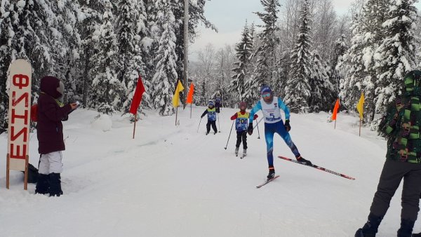 Яблоки на снегу