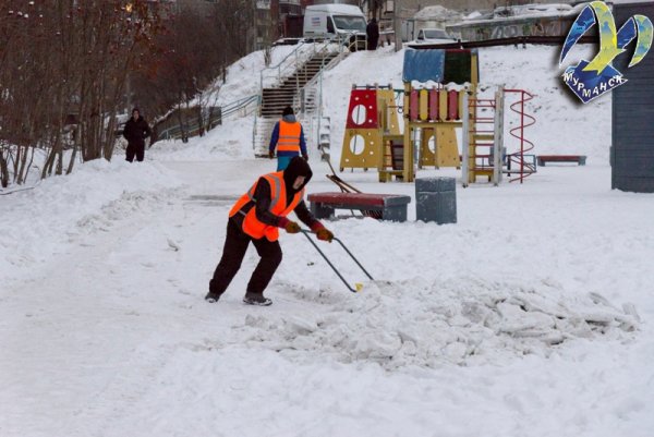 Спорт круглый год