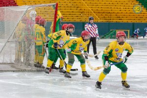Открытое Первенство Архангельской области по хоккею с мячом 2019