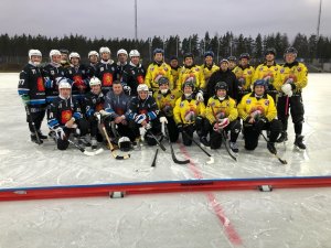 Кубок Мира по хоккею с мячом среди ветеранов