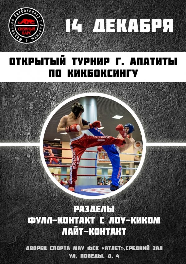 Открытый турнир по кикбоксингу